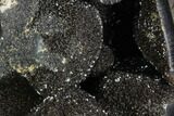 Septarian Dragon Egg Geode - Black Crystals #98876-1